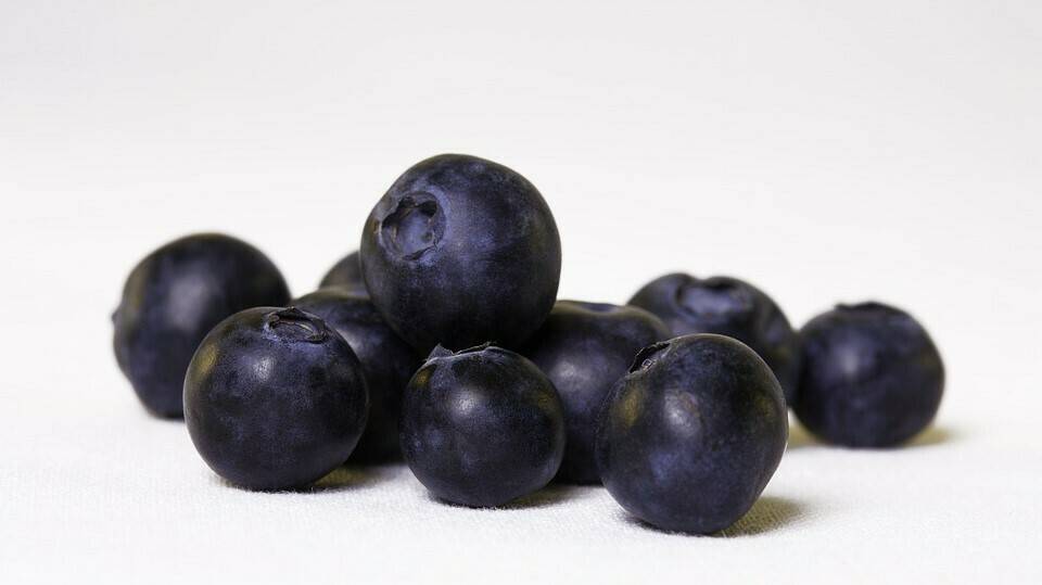 blueberry-2367096_960_720|CBDM 1|CBDM 2|CBDM 3|CBDM 4